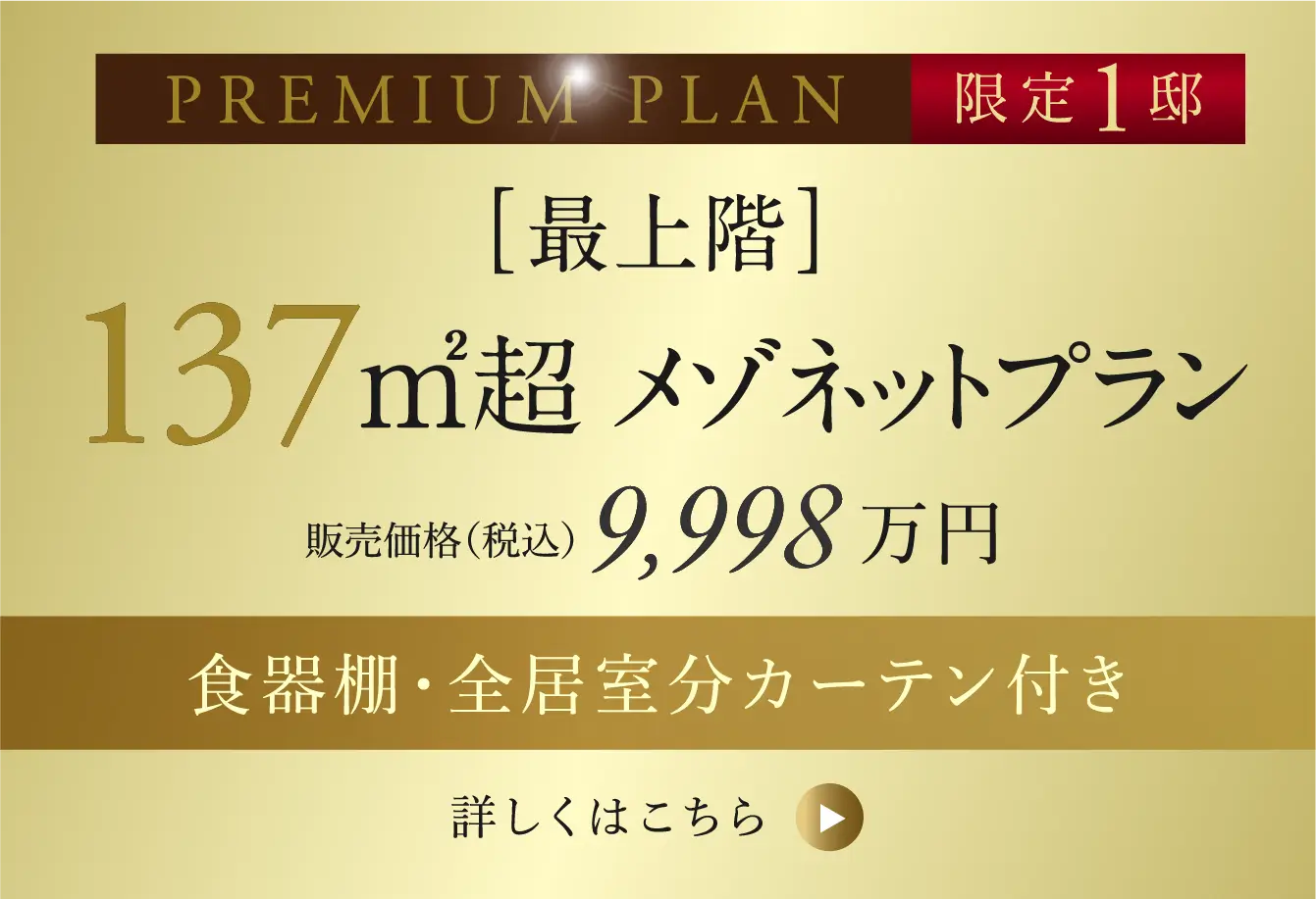 PREMIUM PLAN